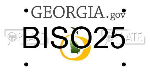 BISO25 Georgia License Plate