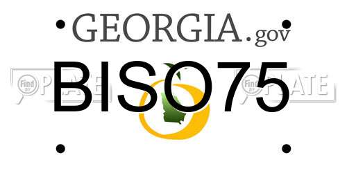 BISO75 Georgia License Plate
