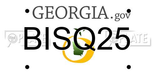 BISQ25 Georgia License Plate