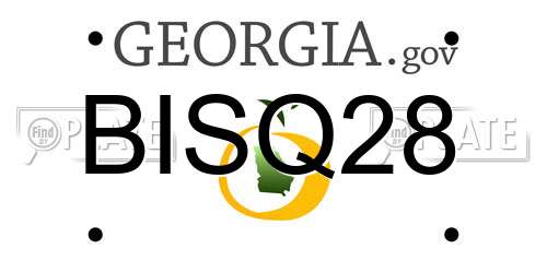 BISQ28 Georgia License Plate