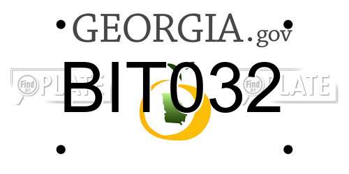 BIT032 Georgia License Plate