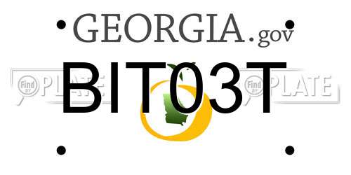 BIT03T Georgia License Plate