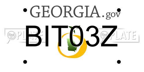 BIT03Z Georgia License Plate