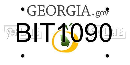 BIT1090 Georgia License Plate