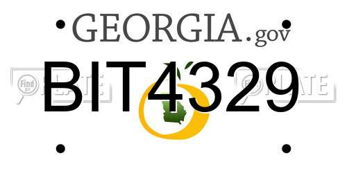 BIT4329 Georgia License Plate