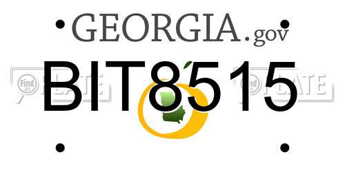 BIT8515 Georgia License Plate