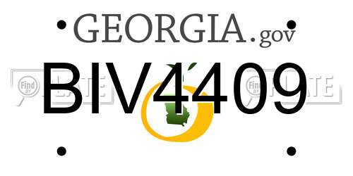 BIV4409 Georgia License Plate