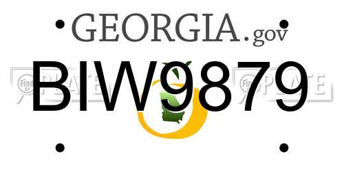 BIW9879 Georgia License Plate