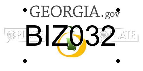 BIZ032 Georgia License Plate
