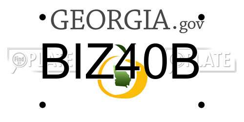 BIZ40B Georgia License Plate