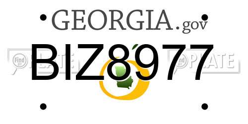 BIZ8977 Georgia License Plate