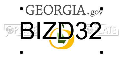 BIZD32 Georgia License Plate