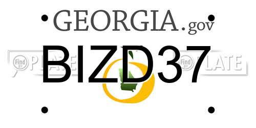 BIZD37 Georgia License Plate
