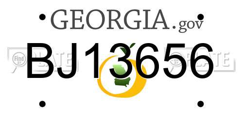 BJ13656 Georgia License Plate