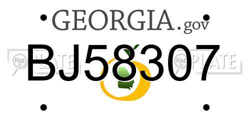 BJ58307 Georgia License Plate