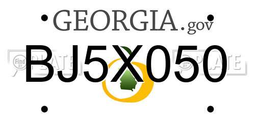 BJ5X050 Georgia License Plate