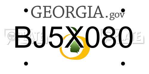 BJ5X080 Georgia License Plate