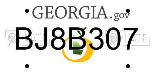 BJ8B307 Georgia License Plate