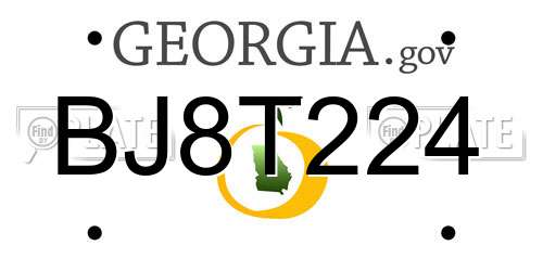 BJ8T224 Georgia License Plate