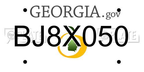BJ8X050 Georgia License Plate