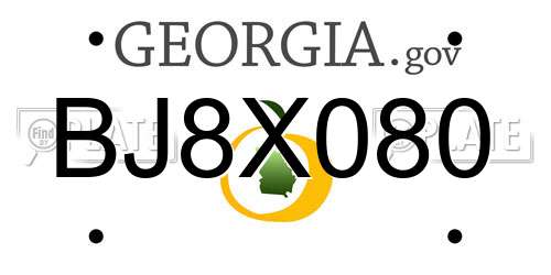 BJ8X080 Georgia License Plate