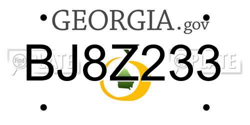 BJ8Z233 Georgia License Plate