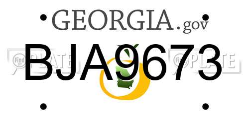 BJA9673 Georgia License Plate