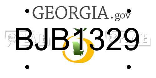 BJB1329 Georgia License Plate