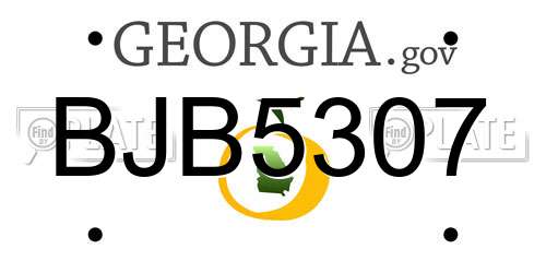 BJB5307 Georgia License Plate