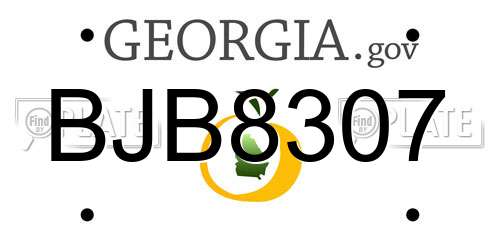 BJB8307 Georgia License Plate