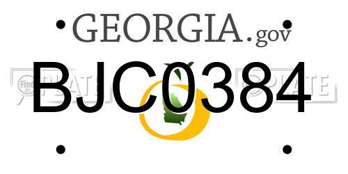 BJC0384 Georgia License Plate