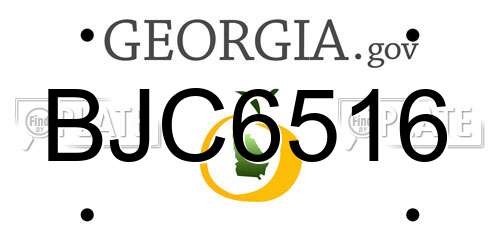 BJC6516 Georgia License Plate