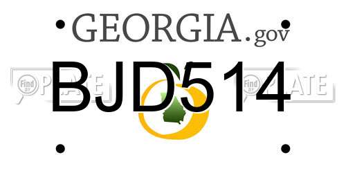 BJD514 Georgia License Plate