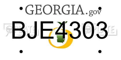 BJE4303 Georgia License Plate