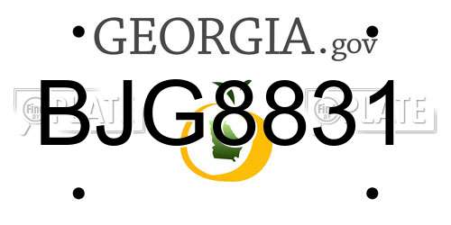 BJG8831 Georgia License Plate