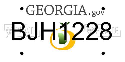 BJH1228 Georgia License Plate