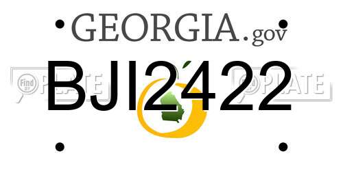 BJI2422 Georgia License Plate