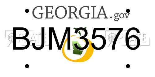BJM3576 Georgia License Plate