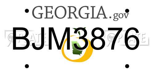 BJM3876 Georgia License Plate