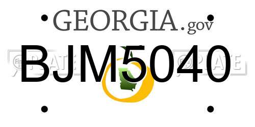 BJM5040 Georgia License Plate