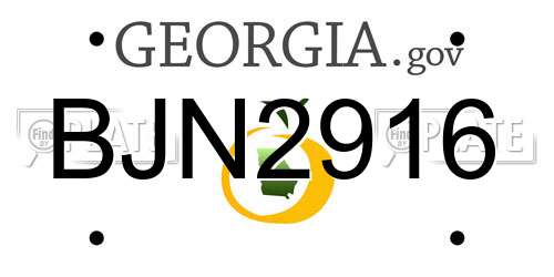 BJN2916 Georgia License Plate