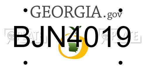 BJN4019 Georgia License Plate