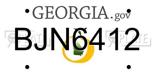 BJN6412 Georgia License Plate
