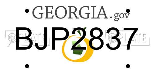 BJP2837 Georgia License Plate