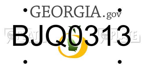 BJQ0313 Georgia License Plate
