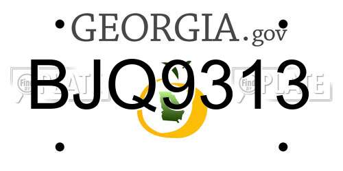 BJQ9313 Georgia License Plate