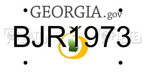 BJR1973 Georgia License Plate