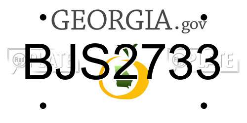 BJS2733 Georgia License Plate
