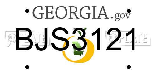 BJS3121 Georgia License Plate