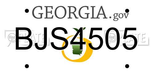 BJS4505 Georgia License Plate
